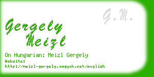 gergely meizl business card